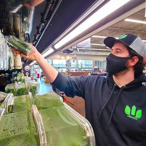 Grocery Store Basil and Microgreens